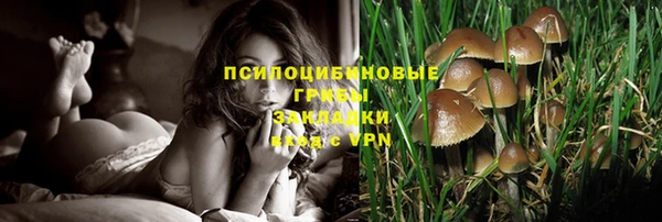 МДПВ Алексеевка
