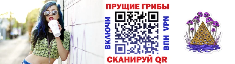 купить Белая Калитва Псилоцибиновые грибы MAGIC MUSHROOMS